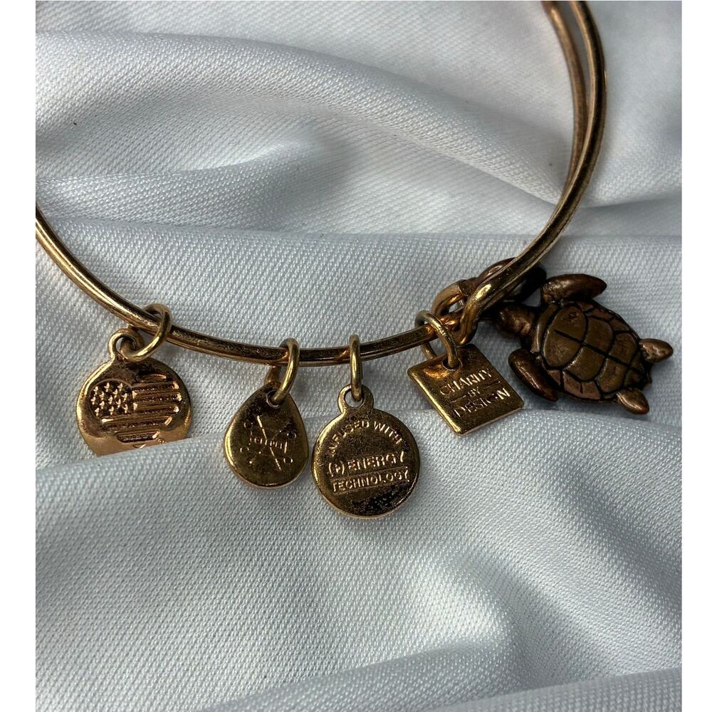 Alex and Ani Sea Turtle Bangle Bracelet Rafaelian Gold Tone Charity By Design